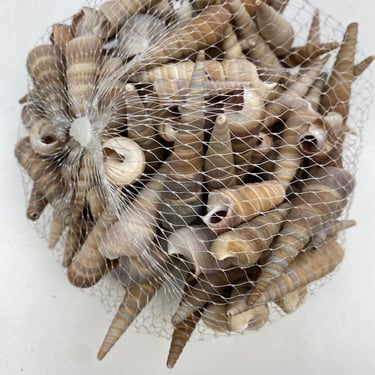 Unopened Bag of Seashells 