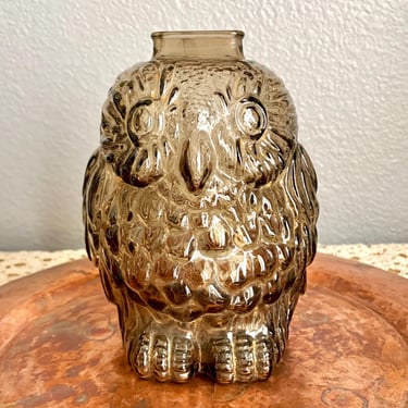 Vintage Glass Owl Bank, Wise Old Owl, Sculptural, Mid Century Home Decor 