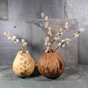 Burnished Gourd Vases - Set of 2 | Natural, Miniature Gourd Vases | Bixley Shop 