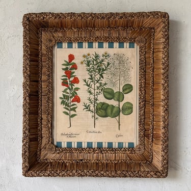 17th C. Hand Colored Besler Engraving of Frittillaria in Gusto Woven Frame VIII