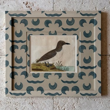 18th C. Albin Ornithological Engraving of The Guillemot from Green-Land in Gusto Painted Frames