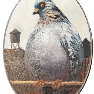 "Rodney" Pigeon
