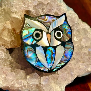 Vintage Mother Of Pearl Owl Brooch Retro Jewelry Gift Kitschy Abalone Handmade Gift 