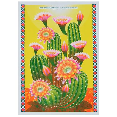 Cactus A3 Riso Print