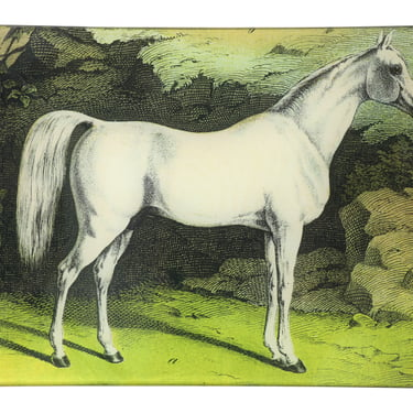 White Horse Tray