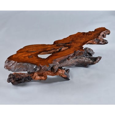 Nakashima Style Live Edge Redwood Burl Root Stump Slab Coffee Table 