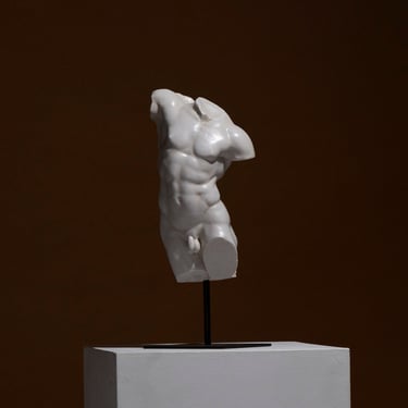 Hercules torso