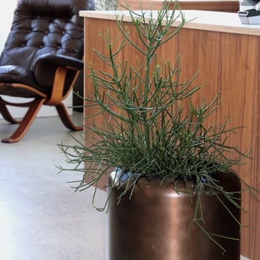 Copper Finish Cylinder Planter By Paul Mayen