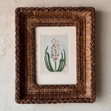 Gusto Woven Frame with 18th C. Dr. Buchoz Botanical Engraving of Gloria Florum Suprema