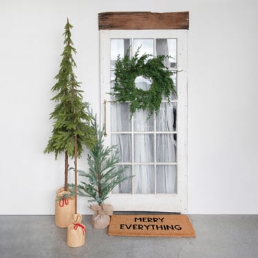 Colossal Faux Pine in Paper Sack w/ Red Tie