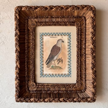 Gusto Woven Frame with Aldrovandi Hand-Colored Ornithological Engraving XXXV