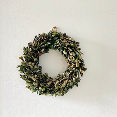 10" Preserved Boxwood Wreath | Front Door Wreath | Small Dried Wreath | Green Wreath ! Winter Decor | Outdoor Decor | Festive Decor 