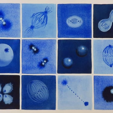 Blue Mitosis - Original Watercolor Painting of Cell Division - Biology Art 