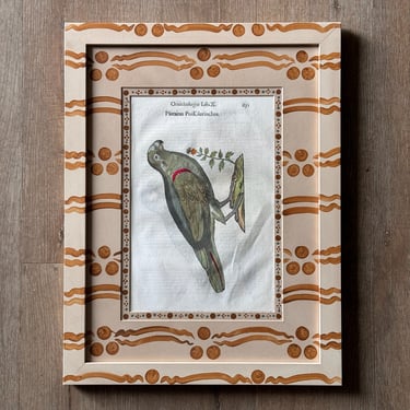 Aldrovandi Hand-Colored Bird Engravings in Gusto Painted Frame and Mat XV