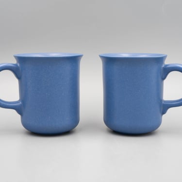 Dansk Mesa Sky Blue Coffee Mug (set of 2) } Vintage Southwest Inspired Dinnerware Drinkware Stoneware 