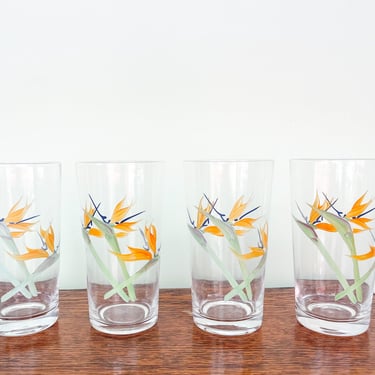 Set of Four Birds of Paradise Hand Painted Glasses