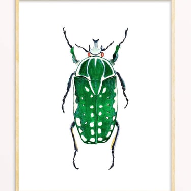 Snoogs &amp; Wilde Art | Beetle #6