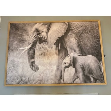 Elephant Wall Art