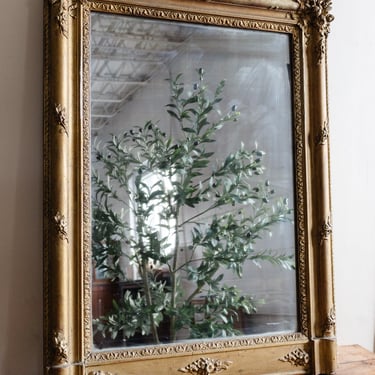 19th century French gilt overmantel mirror