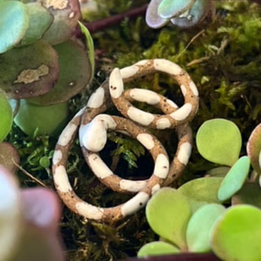 Snake Bud