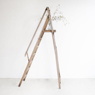 Vintage Painter's Ladder