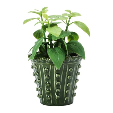 CCO Botanist Hobnail Planter (Curbside &amp; in-store pick up only)