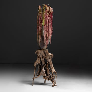 Tree Root Pedestal