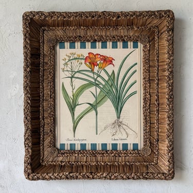 17th C. Hand Colored Besler Engraving of Frittillaria in Gusto Woven Frame VI