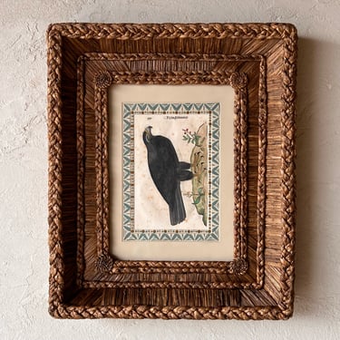 Gusto Woven Frame with Aldrovandi Hand-Colored Ornithological Engraving XXII