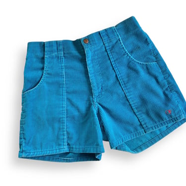 vintage OP shorts / corduroy shorts / 1980s blue corduroy OP shorts elastic surf shorts Medium 