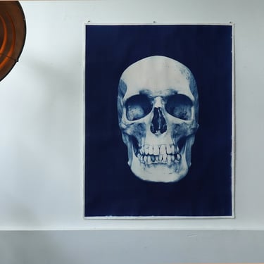 Large Skull Cyanotype on Watercolor Paper 45