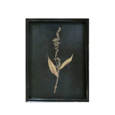 Framed Pressed Botanical Print, No. 2