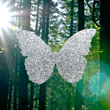 Butterfly Hair Clip Glitter Barrette Forest Fairy Grunge 