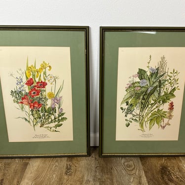 Set of 2 Large 1970s Framed Anne Ophelia Dowden Botanical Plate Prints 