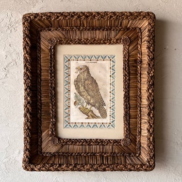 Gusto Woven Frame with Aldrovandi Hand-Colored Ornithological Engraving XV