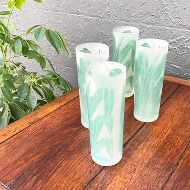 Tropical Frosted Collins Glasses / Set of 6