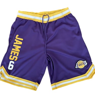 Lebron James Los Angeles Lakers Purple Gold NBA Basketball Shorts XL