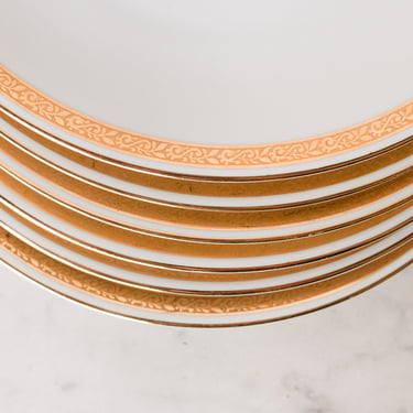 Gold Rim Limoges Plate Set of 6