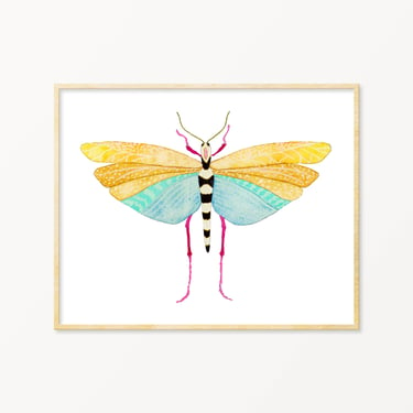 Snoogs & Wilde Art - Grasshopper #4 ~ Art Print