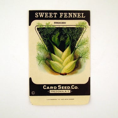 Vintage 1920s Unused Paper Seed Packet Sweet Fennel CONTAINS NO SEEDS please read item details 