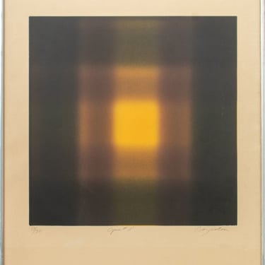 Barry Nelson "Opus #11" Aquatint