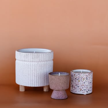 Bloom Bundle