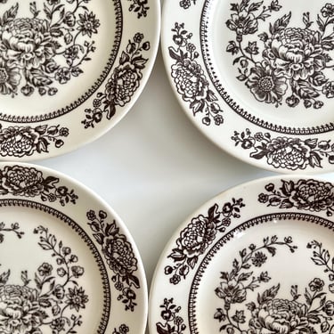 Vintage Neutral Floral Appetizer Bread Plates - Set of 4 