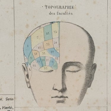 19th Century Phrenology Lithograph Poster from France - Basic Elements of Phrenology Physiognomy Palmistry - Rare Antique Occult Art 