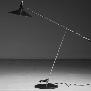 Adjustable Floor Lamp