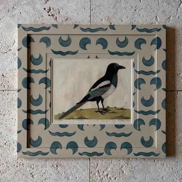 18th C. Albin Ornithological Engraving of The Magpie in Gusto Painted Frames