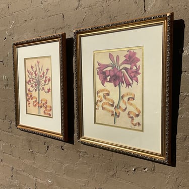 Pair of Botanical Prints