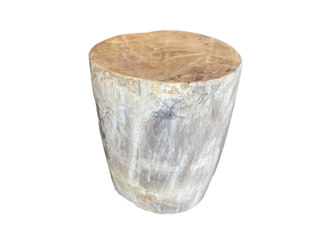 Indonesian Petrified Wood Side Table/Stool
