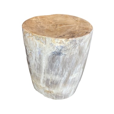 Indonesian Petrified Wood Side Table/Stool