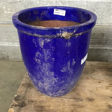 Cobalt Blue Planter (Seattle)